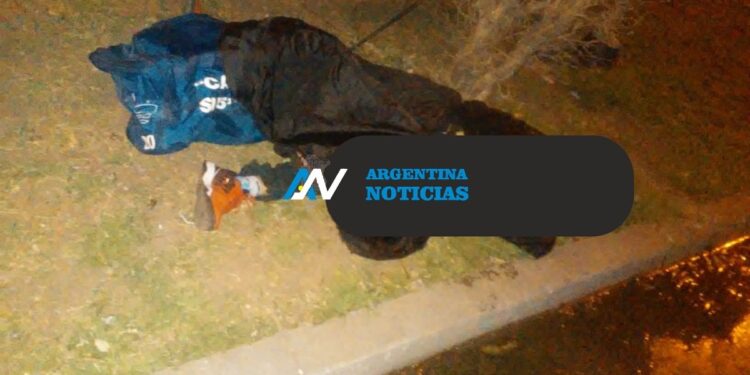 Discutió con su hijo y lo asesinó de un escopetazo