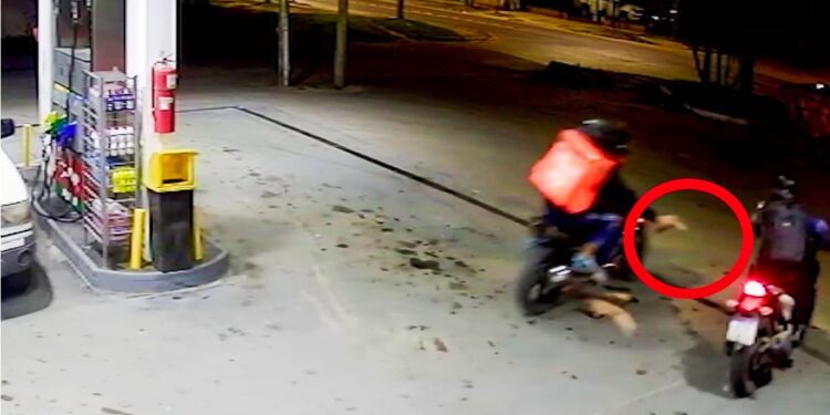 La Plata: Murió el hombre que había sido baleado por los falsos delivery