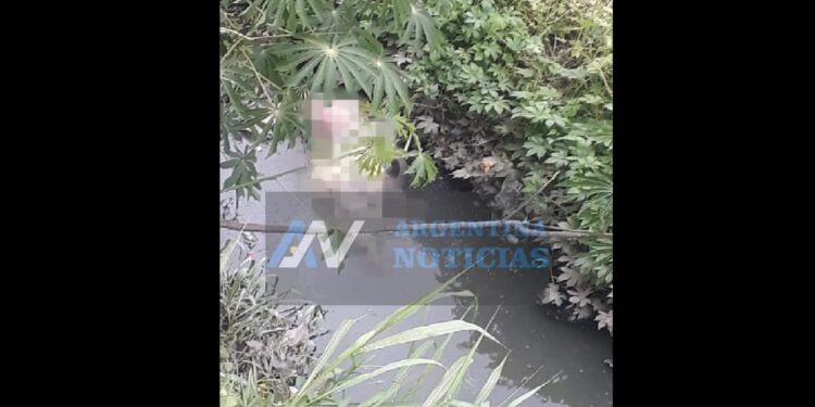 Quilmes: Hallan el cuerpo de un hombre sin vida en el arroyo Las Piedras