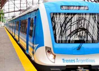 Lanús: un ladrón murió apretado por el tren