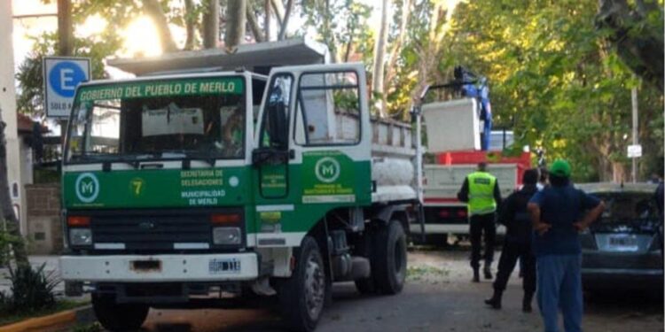 Camiones del Municipio de Merlo realizaron una poda NO autorizada en Vicente López