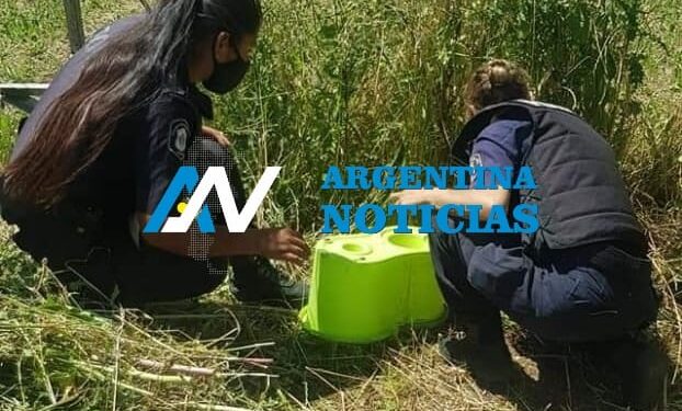 Pontevedra: Encontraron un feto abandonado en la vía pública