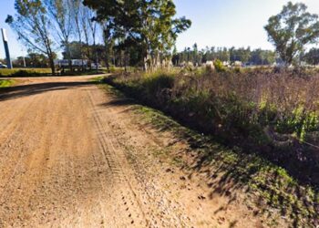 Ezeiza: Encontraron un cadáver semidesnudo de una mujer al costado de la autopista