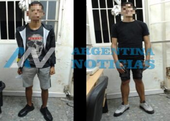 Video: Tras robar un auto, dos delincuentes menores de edad chocaron y fueron atrapados por la Policía