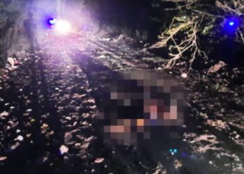 Almirante Brown: Encontraron a dos narcotraficantes acribillados a balazos en un descampado de Glew