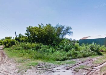 Horror en Hudson: Al menos una docena de perros envenenados por delincuentes
