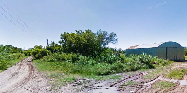 Horror en Hudson: Al menos una docena de perros envenenados por delincuentes