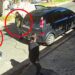 Insólito, sicarios balearon a una mujer y se cree que la confundieron con una vecina en Rosario