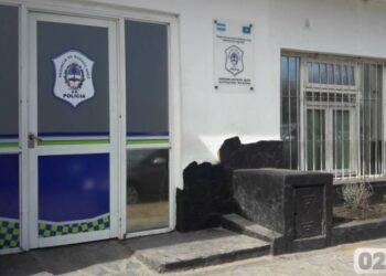 Se peleó con su hermana, iba a asesinarla y su perrito la salvó: la mascota lucha por su vida.