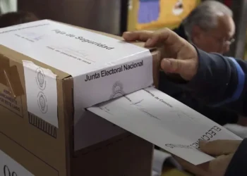 Uno por uno, quiénes son los precandidatos que competirán en las PASO presidenciales.