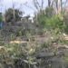 EL DIA DESPUES DEL TORNADO.