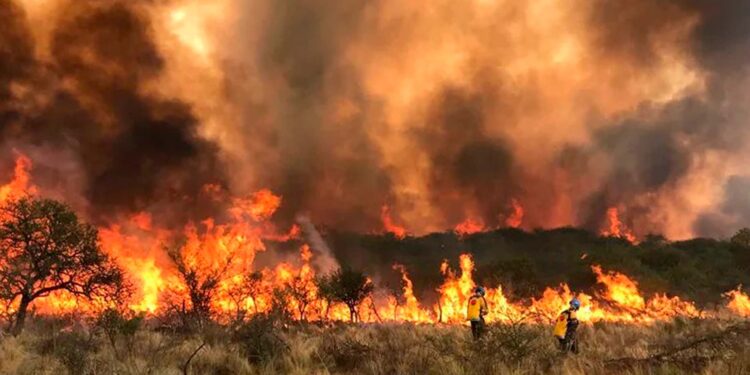 CORDOBA ARDE POR LAS LLAMAS.
