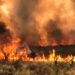 CORDOBA ARDE POR LAS LLAMAS.