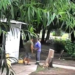 HURLINGHAM: EMPLEADOS DEL CEMENTERIO SE PELEARON POR UNA POLLERA.