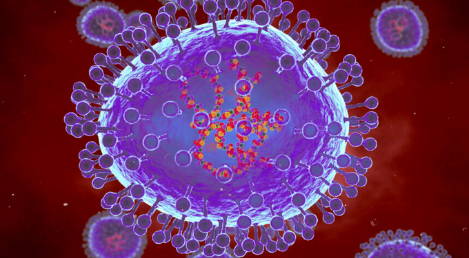 CHINA NUEVO BROTE DE METAPNEUMOVIRUS.