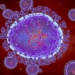 CHINA NUEVO BROTE DE METAPNEUMOVIRUS.