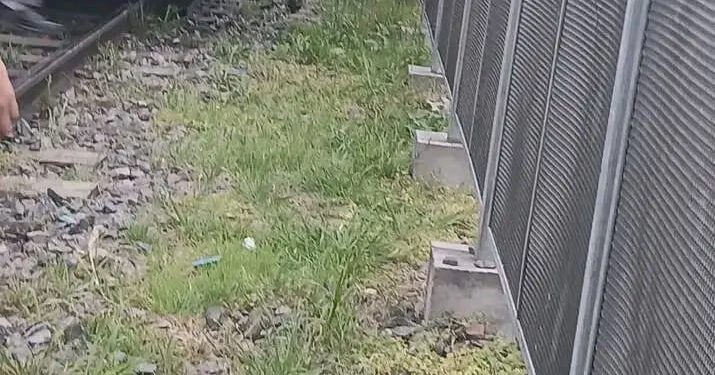 Cayó debajo del tren en Los Polvorines y fue rescatado con vida por bomberos voluntarios.