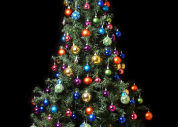 «FELIZ NAVIDAD TE DESEA PRIMICIAS 365 Y ARGENTINA NOTICIAS».