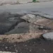 Vecinos de Agustín Ferrari arreglaron su calle ante la falta de respuestas municipales.