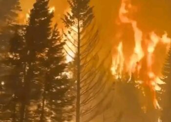 El negocio del fuego y el avance del sinsentido.