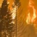El negocio del fuego y el avance del sinsentido.