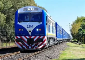 LINEA SAN MARTIN : PASAJEROS SE QUEJAN DE PULGAS .