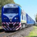 LINEA SAN MARTIN : PASAJEROS SE QUEJAN DE PULGAS .