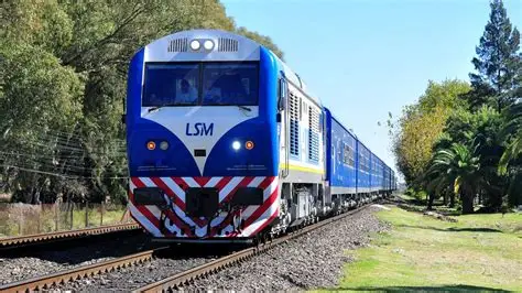 LINEA SAN MARTIN : PASAJEROS SE QUEJAN DE PULGAS .
