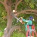 EL MUNICIPIO DE MERLO ATENDIENDO URGENCIAS EN LOS BARRIOS