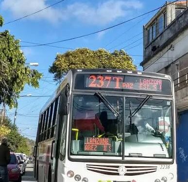 Denuncian un presunto episodio de discriminación contra una pasajera con Certificado Único de Discapacidad en William Morris.