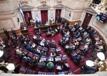 EL OFICIALISMO NO CONSIGUIÓ LOS VOTOS PARA LA VENTA DE TERRITORIO NACIONAL Y EXTRANJERO