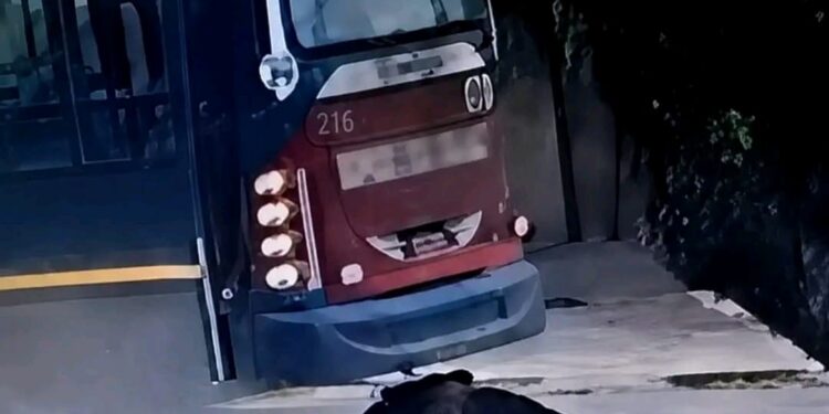 Milagro en Pontevedra: una mujer sobrevivió tras ser atropellada por un colectivo de la línea 236.