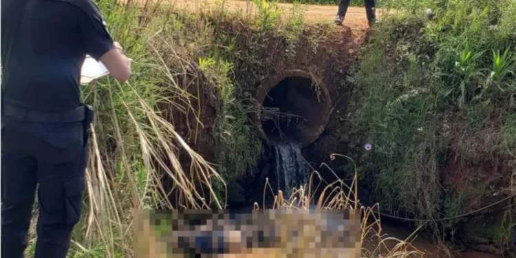 Hallan muerto a un hombre de 41 años junto a un arroyo en Gregorio de Laferrere