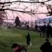 Interrumpieron el servicio del tren Ezeiza-Cañuelas por una persona embestida