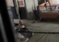 Tres de Febrero : Violento enfrentamiento a tiros en una vivienda en el Barrio el Libertador