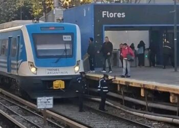 Una  adolescente de 13 años fue arrollada por un tren en la estación Flores.