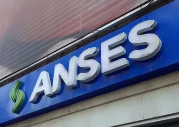 AUH DISCAPACIDAD MONTOS A COBRAR