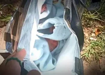 Hallaron el cuerpo de un feto durante trabajos para instalar postes de fibra óptica en Mariano Acosta.