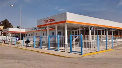 Murió una mujer tras recibir un disparo en la cabeza en Martín Coronado