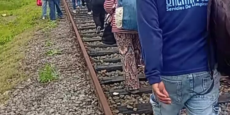 Accidente en el Tren Sarmiento: una mujer fue embestida en San Antonio de Padua y hay demoras