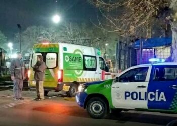 Un hombre cayó a las vías del tren Mitre tras intentar subir a una formación en movimiento