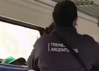 Escándalo en el tren San Martín: una pasajera y personal de evasión se agarraron a golpes