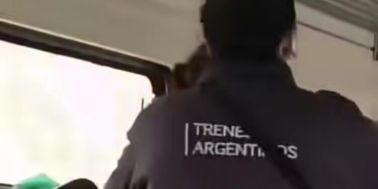 Escándalo en el tren San Martín: una pasajera y personal de evasión se agarraron a golpes