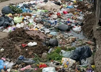 José C. Paz: vecinos denuncian acumulación de basura, presencia de ratas y preocupación por posibles riesgos sanitarios