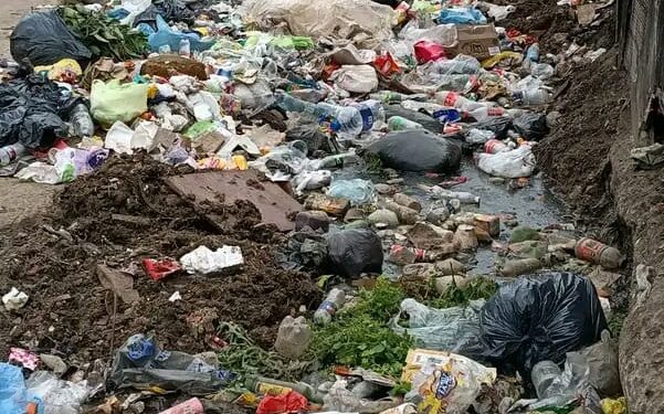 José C. Paz: vecinos denuncian acumulación de basura, presencia de ratas y preocupación por posibles riesgos sanitarios