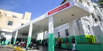 Tragedia en Quilmes Centro: murió un bebé tras ser golpeado por una palta que cayó de un árbol